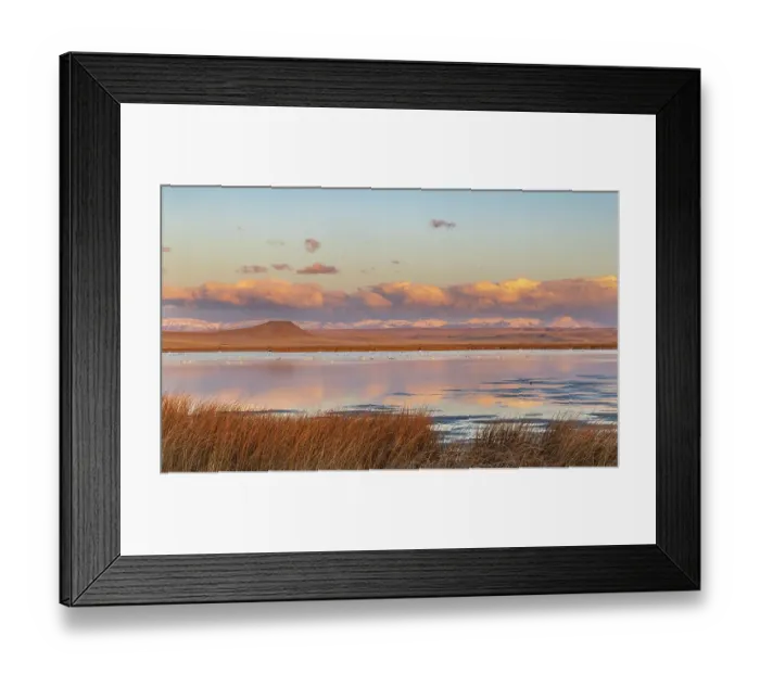 Framed Print : Wetlands pond at sunrise at Freezeout Lake Wildlife Management Area near Choteau, Montana, USA