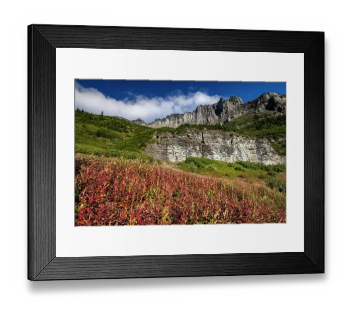 Framed Print : Fireweed in autumn color below the Garden Wall in Glacier National Park, Montana, USA