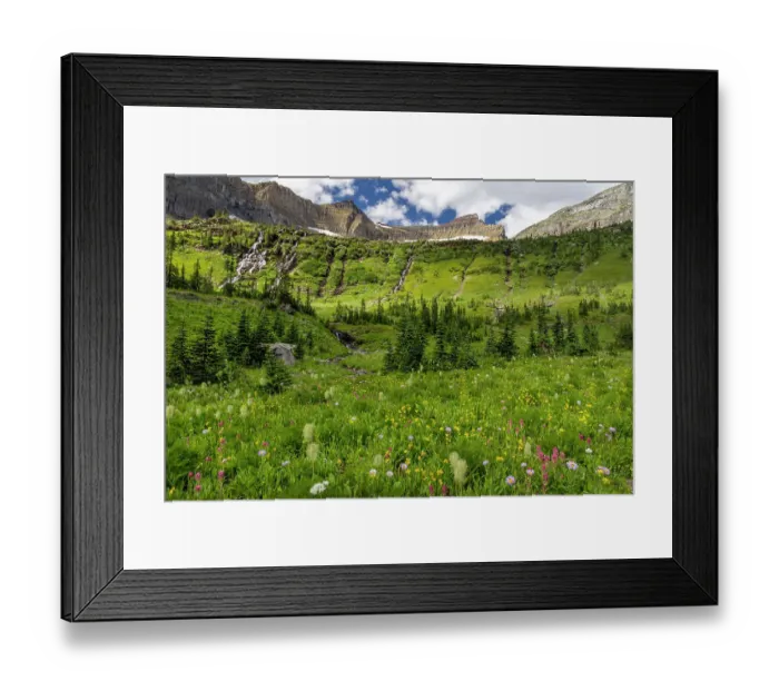 Framed Print : Alpine wildflowers in Hole in the Wall Basin in Glacier National Park, Montana, USA Framed Print : Alpine wildflowers in Hole in the Wall Basin in Glacier National Park, Montana, USA