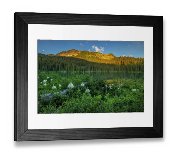 Framed Print : Beargrass and Little Therriault Lake at sunrise in the Ten Lakes Scenic Area in the Kootenai National Forest, Montana, USA Framed Print : Beargrass and Little Therriault Lake at sunrise in the Ten Lakes Scenic Area in the Kootenai National Forest, Montana, USA