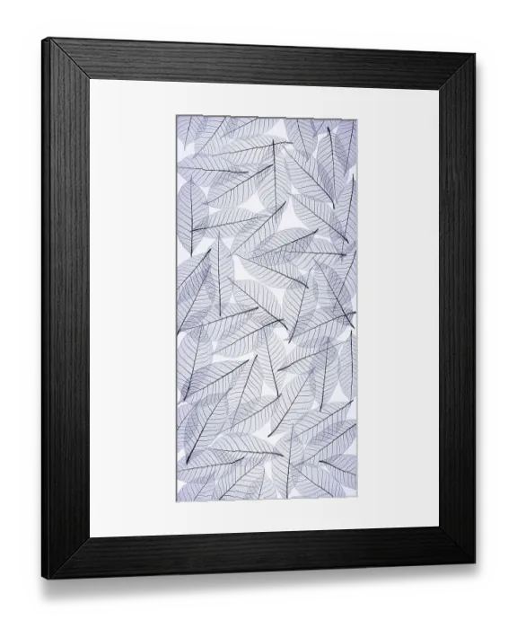 Framed Print : USA, Washington State, Seabeck. Black and white pattern of skeletonized leaves