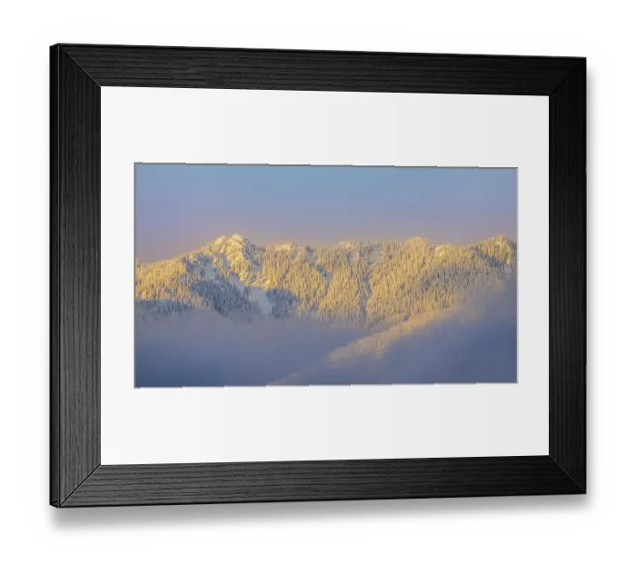 Framed Print : USA, Washington State. Sunrise on snow-covered mountains in Olympic National Forest Framed Print : USA, Washington State. Sunrise on snow-covered mountains in Olympic National Forest