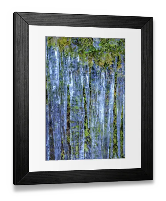 Framed Print : USA, Washington State, Seabeck. Close-up of icicles and moss Framed Print : USA, Washington State, Seabeck. Close-up of icicles and moss