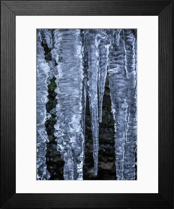 Framed Print : USA, Washington State, Seabeck. Close-up of icicles Framed Print : USA, Washington State, Seabeck. Close-up of icicles