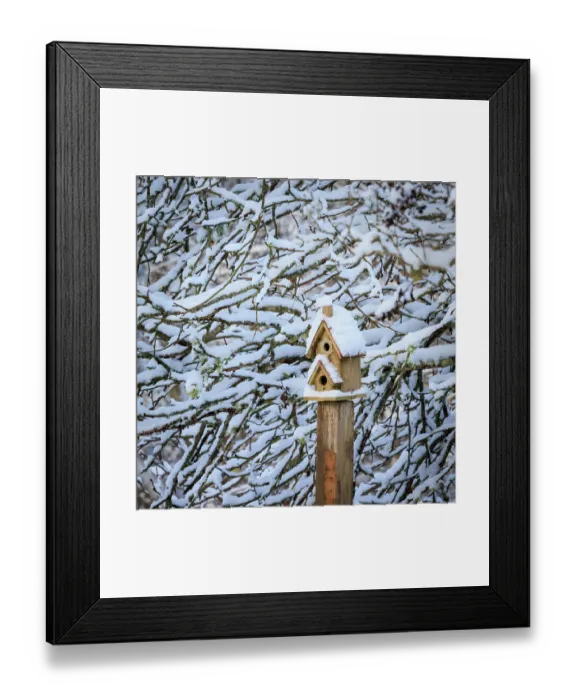 Framed Print : USA, Washington State, Seabeck. Snow-covered bird house and tree limbs Framed Print : USA, Washington State, Seabeck. Snow-covered bird house and tree limbs