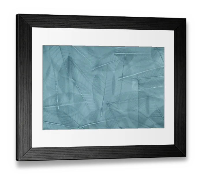 Framed Print : USA, Washington State, Seabeck. Pattern of skeletonized leaves Framed Print : USA, Washington State, Seabeck. Pattern of skeletonized leaves
