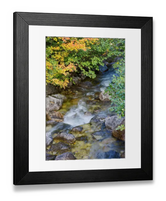 Framed Print : USA, Washington State. Cascade mountains near Stevens Pass and small steam with autumn colored vine maple