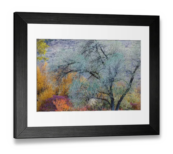 Framed Print : USA, Washington State. Fall color around Pearrygin Lake State Park near Winthrop Framed Print : USA, Washington State. Fall color around Pearrygin Lake State Park near Winthrop