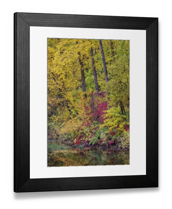 Framed Print : USA, Washington State, small pond near Easton surrounded by fall colored trees Framed Print : USA, Washington State, small pond near Easton surrounded by fall colored trees