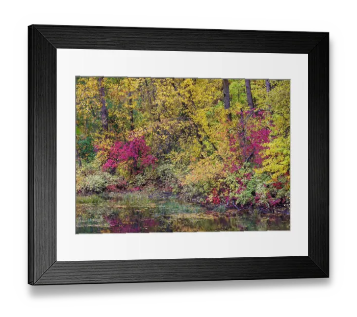 Framed Print : USA, Washington State, small pond near Easton surrounded by fall colored trees Framed Print : USA, Washington State, small pond near Easton surrounded by fall colored trees