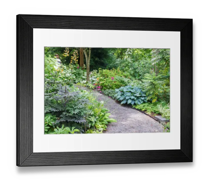 Framed Print : USA, Washington State. Bellevue Botanical garden and shade garden Framed Print : USA, Washington State. Bellevue Botanical garden and shade garden
