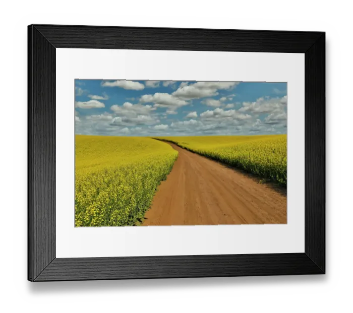Framed Print : USA, Washington State, Palouse. Springtime landscape dirt roadway and Canola fields Framed Print : USA, Washington State, Palouse. Springtime landscape dirt roadway and Canola fields