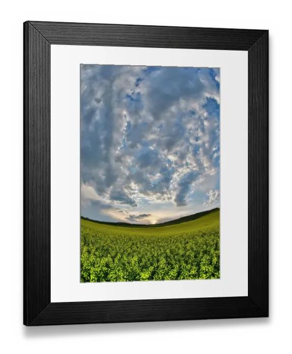 Framed Print : USA, Washington State, Palouse. Springtime landscape and Canola fields