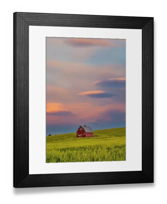 Framed Print : USA, Washington State, Palouse. Springtime with Red Barn surrounded by yellow Canola fields and dramatic skies Framed Print : USA, Washington State, Palouse. Springtime with Red Barn surrounded by yellow Canola fields and dramatic skies