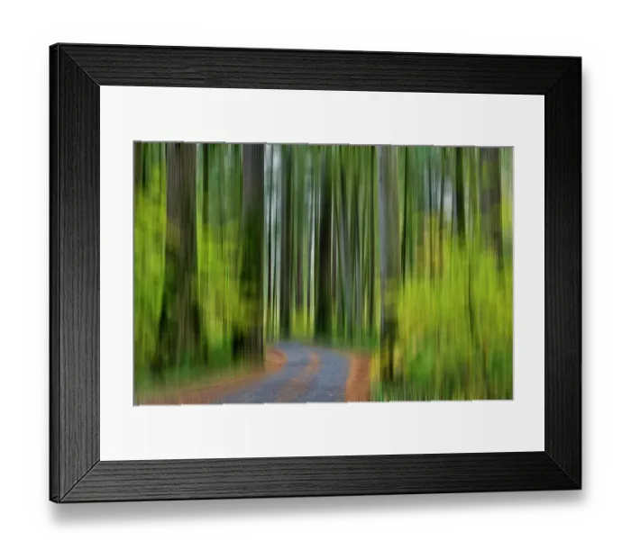 Framed Print : USA, Washington State, Darrington. Curved roadway in autumn forest of fir and vine maple trees Framed Print : USA, Washington State, Darrington. Curved roadway in autumn forest of fir and vine maple trees