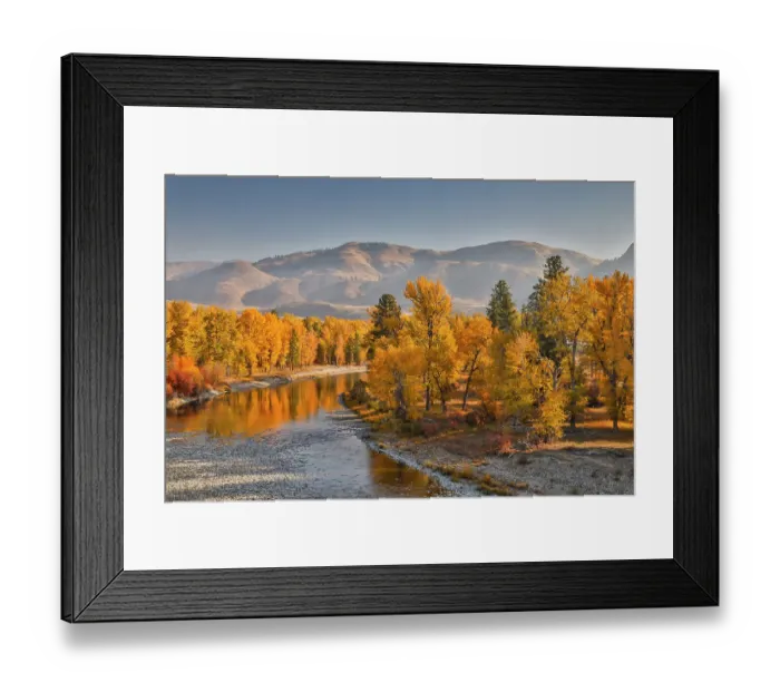 Framed Print : USA, Washington State, Methow Valley and river edged in Fall colored trees Framed Print : USA, Washington State, Methow Valley and river edged in Fall colored trees
