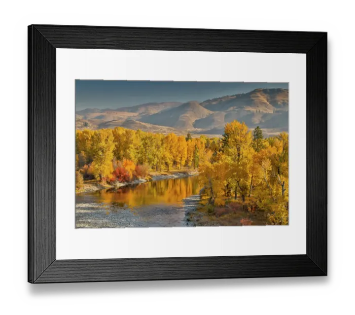 Framed Print : USA, Washington State, Methow Valley and river edged in Fall colored trees
