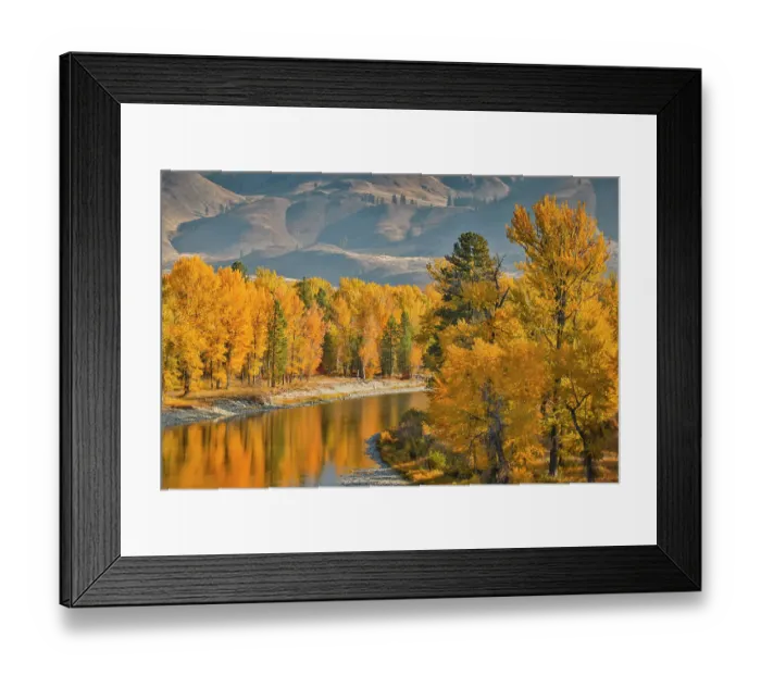 Framed Print : USA, Washington State, Methow Valley and river edged in Fall colored trees Framed Print : USA, Washington State, Methow Valley and river edged in Fall colored trees