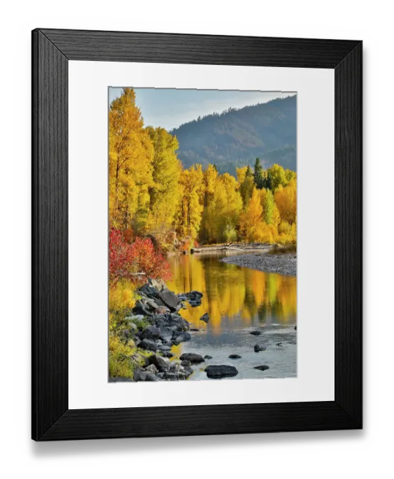 Framed Print : USA, Washington State, Methow Valley and river edged in Fall colored trees Framed Print : USA, Washington State, Methow Valley and river edged in Fall colored trees