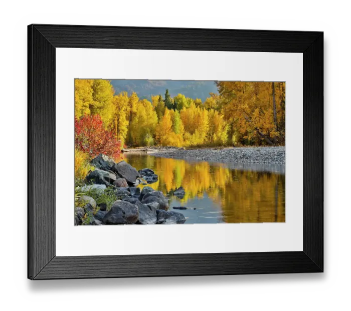 Framed Print : USA, Washington State, Methow Valley and river edged in Fall colored trees