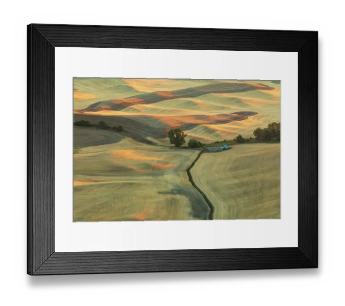Framed Print : USA, Washington State, Whitman County, Palouse. Rolling fields and hills near Steptoe Butte