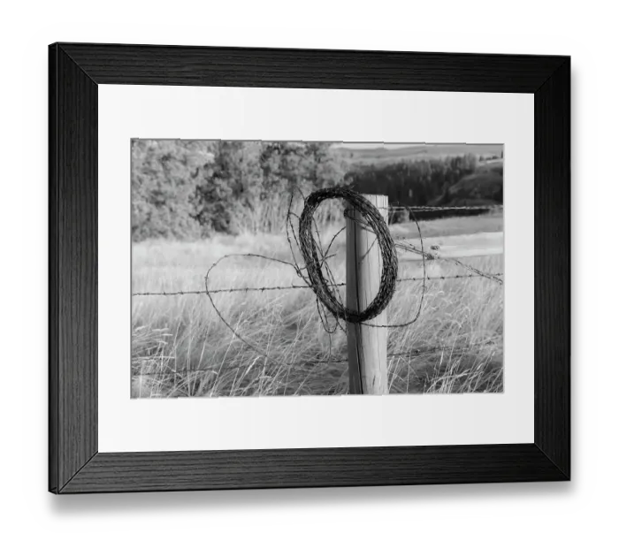 Framed Print : USA, Washington State, Whitman County, Palouse. Barbed wire fence Posts Framed Print : USA, Washington State, Whitman County, Palouse. Barbed wire fence Posts
