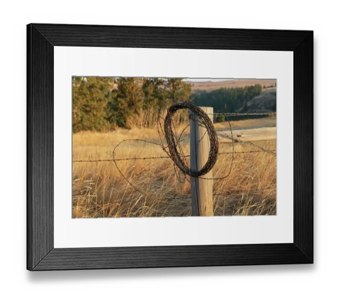 Framed Print : USA, Washington State, Whitman County, Palouse. Barbed wire fence Posts Framed Print : USA, Washington State, Whitman County, Palouse. Barbed wire fence Posts