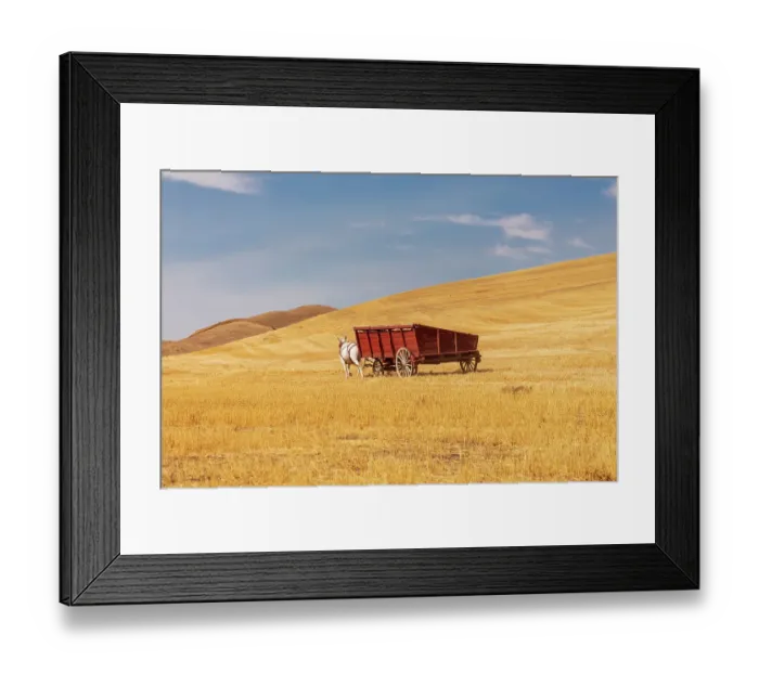 Framed Print : USA, Washington State, Whitman County, Palouse. Harvesting wheat. Old fashioned threshing farm equipment