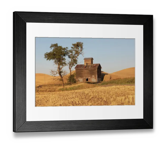 Framed Print : USA, Washington State, Whitman County, Palouse. Colfax. Old grain silo and barn along Filan Road Framed Print : USA, Washington State, Whitman County, Palouse. Colfax. Old grain silo and barn along Filan Road