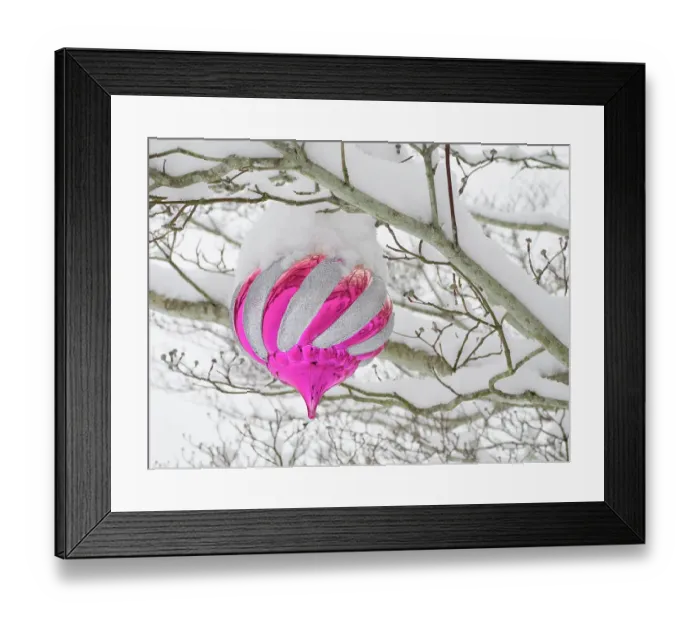 Framed Print : Washington State, Christmas ornament and snow Framed Print : Washington State, Christmas ornament and snow