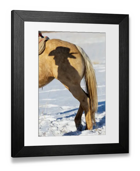 Framed Print : USA, Shell, Wyoming. Hideout Ranch Shadow of cowhand with hat on side of horse. (PR, MR) Framed Print : USA, Shell, Wyoming. Hideout Ranch Shadow of cowhand with hat on side of horse. (PR, MR)