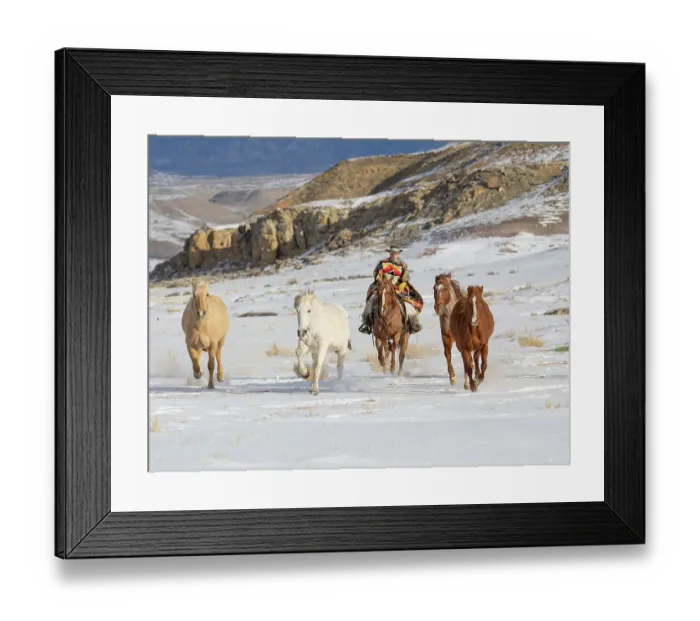 Framed Print : USA, Shell, Wyoming. Hideout Ranch cowboy riding and herding horses in snow. (PR, MR)