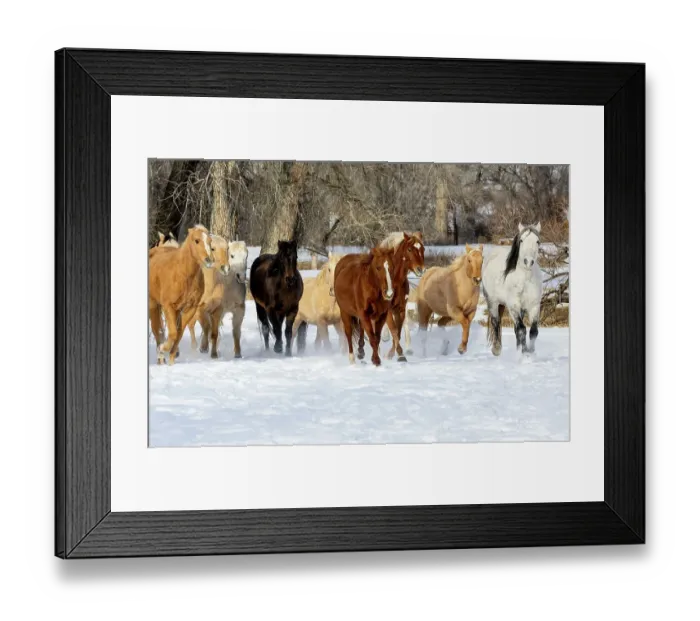 Framed Print : USA, Shell, Wyoming. Hideout Ranch with small herd of horses in snow. (PR, MR)