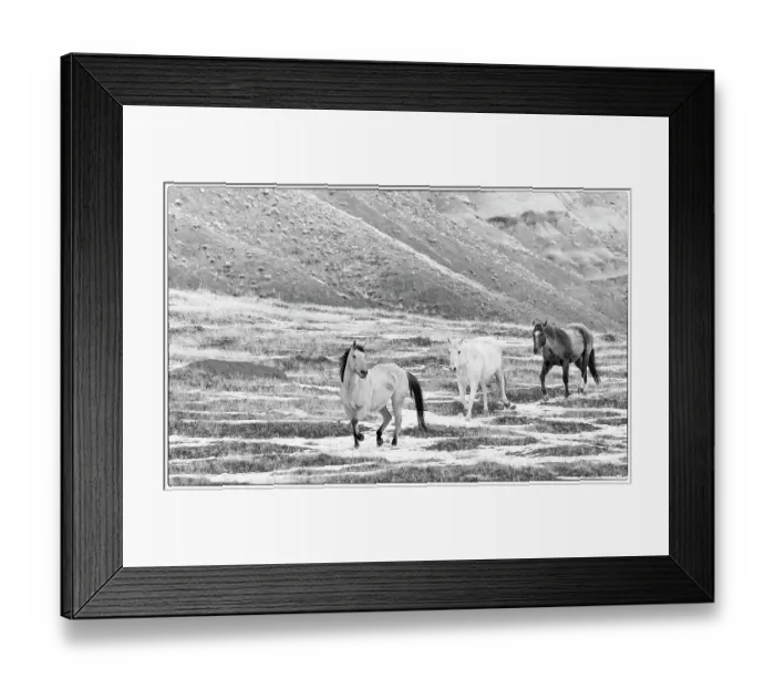 Framed Print : USA, Shell, Wyoming. Hideout Ranch with small herd of horses in snow. (PR, MR) Framed Print : USA, Shell, Wyoming. Hideout Ranch with small herd of horses in snow. (PR, MR)