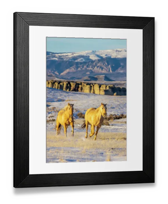 Framed Print : USA, Wyoming. Hideout Horse Ranch, horses in snow. (PR)