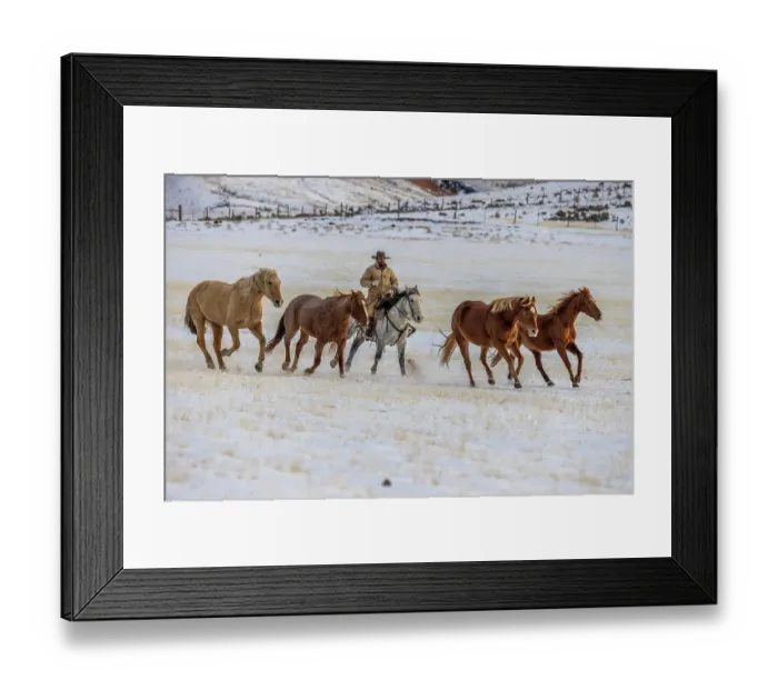 Framed Print : USA, Wyoming. Hideout Horse Ranch, wrangler and horses in snow. (MR, PR) Framed Print : USA, Wyoming. Hideout Horse Ranch, wrangler and horses in snow. (MR, PR)