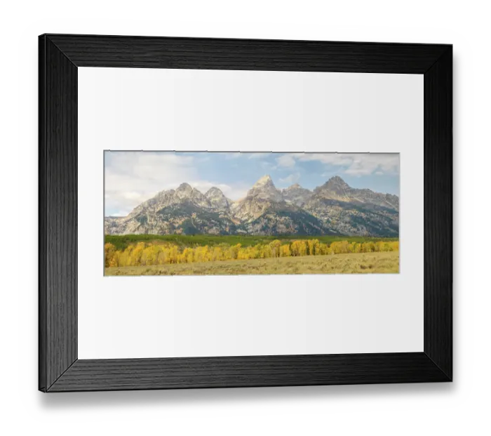 Framed Print : Wyoming, Grand Teton National Park. Teton Range with Grand Teton and golden Aspen trees Framed Print : Wyoming, Grand Teton National Park. Teton Range with Grand Teton and golden Aspen trees