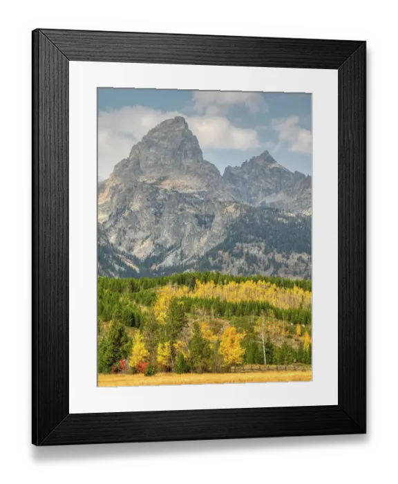 Framed Print : Wyoming, Grand Teton National Park. Teton Range with Grand Teton and golden Aspen trees Framed Print : Wyoming, Grand Teton National Park. Teton Range with Grand Teton and golden Aspen trees