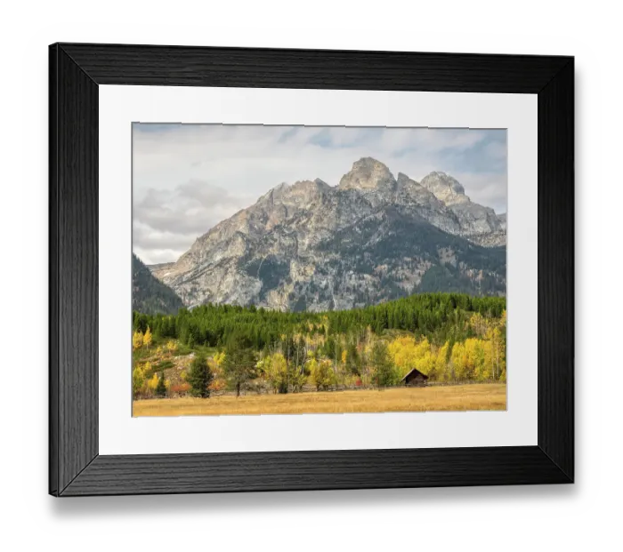 Framed Print : Wyoming, Grand Teton National Park. Teton Range and golden Aspen trees