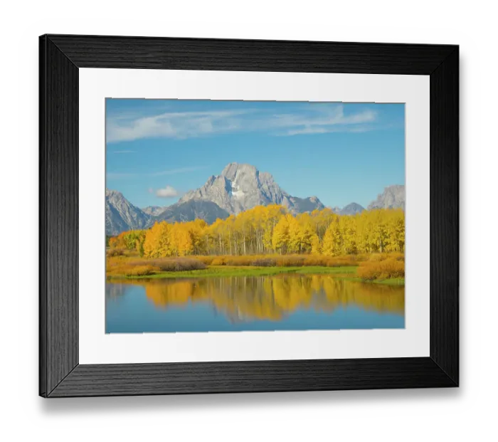 Framed Print : Wyoming, Grand Teton National Park. Mount Moran and golden Aspen trees, reflected in Snake River at Oxbow Bend