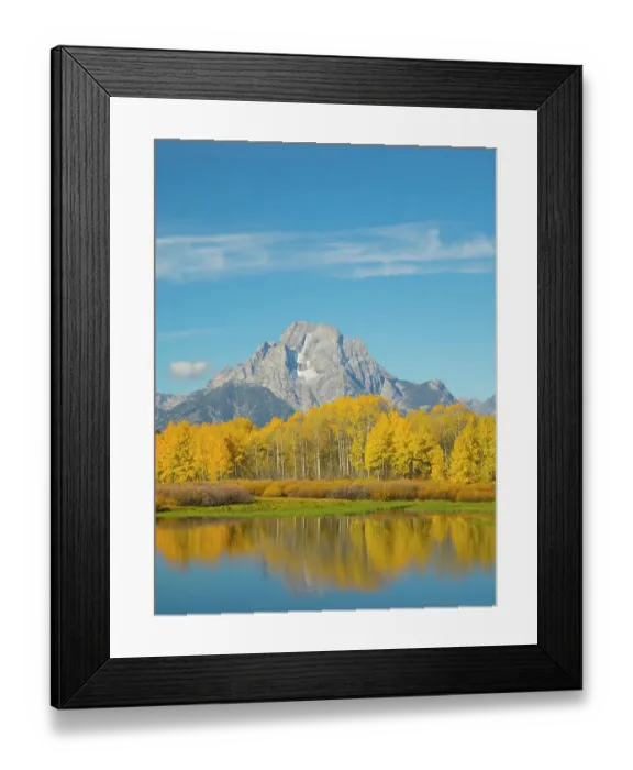 Framed Print : Wyoming, Grand Teton National Park. Mount Moran and golden Aspen trees, reflected in Snake River at Oxbow Bend Framed Print : Wyoming, Grand Teton National Park. Mount Moran and golden Aspen trees, reflected in Snake River at Oxbow Bend