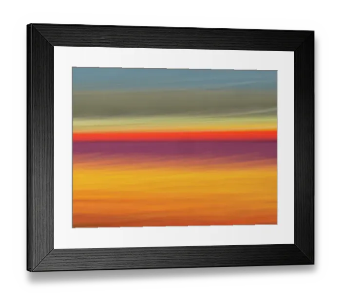 Framed Print : Abstract of rows of tulips at farm Framed Print : Abstract of rows of tulips at farm