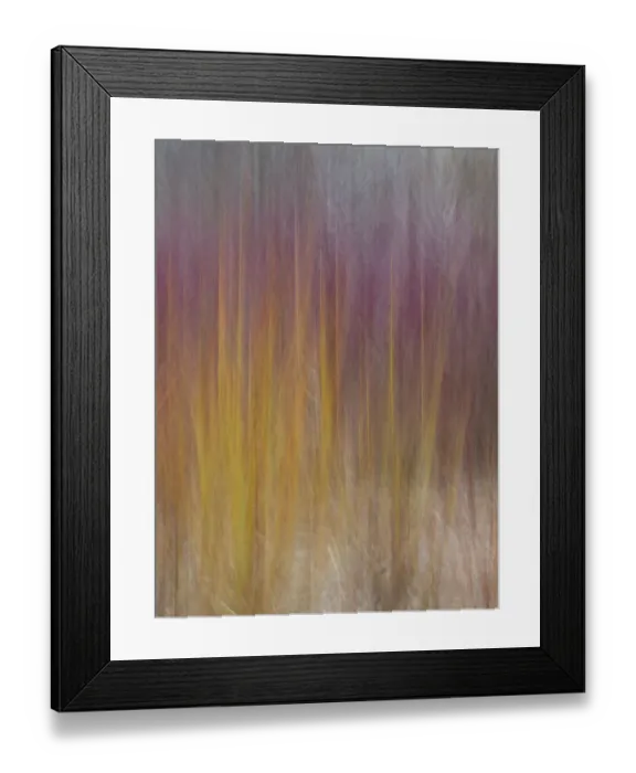 Framed Print : Red and gold grass on beach Framed Print : Red and gold grass on beach