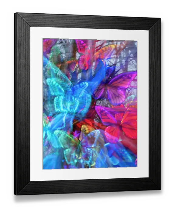 Framed Print : Arrangement of colorful artificial butterflies Framed Print : Arrangement of colorful artificial butterflies