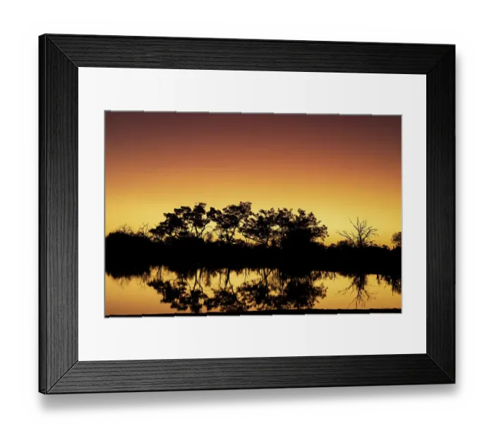 Framed Print : Colorful sunset at watering hole. Camelthorn Lodge. Hwange National Park. Zimbabwe Framed Print : Colorful sunset at watering hole. Camelthorn Lodge. Hwange National Park. Zimbabwe