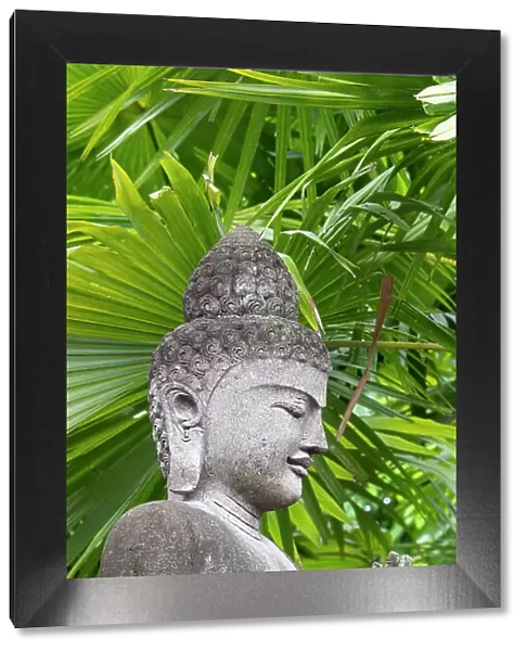 Indonesia, Bali. Buddha statue with green palms
