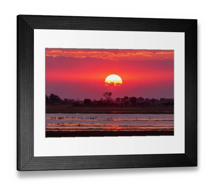 Framed Print : A colorful sunset along the banks of the Chobe River, Chobe National Park, Kasane, Botswana Framed Print : A colorful sunset along the banks of the Chobe River, Chobe National Park, Kasane, Botswana