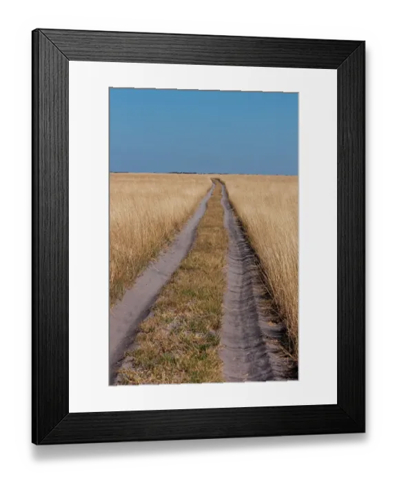 Framed Print : Vehicular tracks in sandy soil through a vast landscape of tall grass. Nxai Pan National Park, Botswana