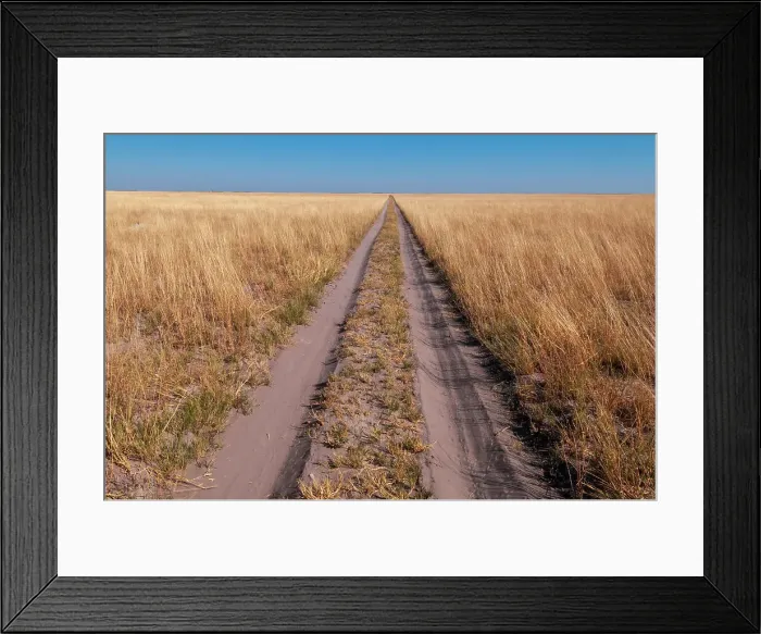 Framed Print : Vehicular tracks on a sandy dirt road through a vast savanna. Kudiakam Pan, Nxai Pan National Park, Botswana Framed Print : Vehicular tracks on a sandy dirt road through a vast savanna. Kudiakam Pan, Nxai Pan National Park, Botswana
