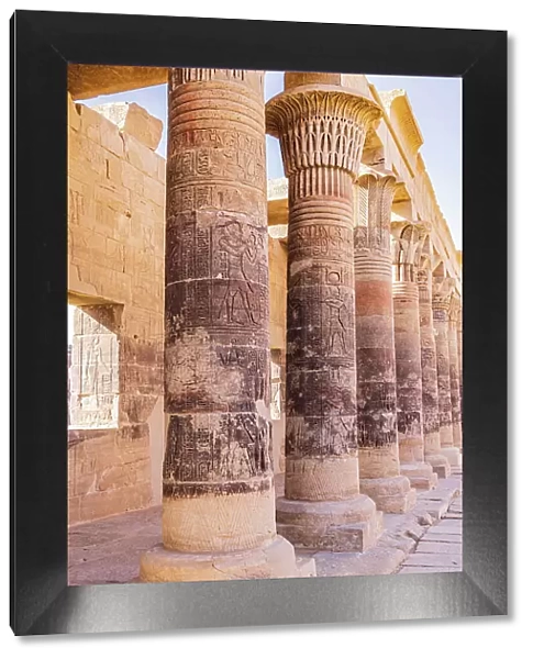 Agilkia Island, Aswan, Egypt. Carvings on columns at the Philae Temple, a UNESCO World Heritage Site